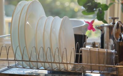 Best Dish Rack Alternatives for Tidy Counters