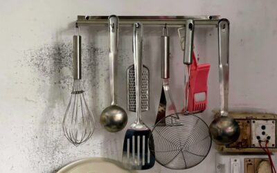 Best Mini Kitchen Tools & Gadgets