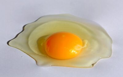 Best Egg Separators for Clean Yolks