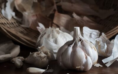 Best Garlic Presses That Actually Work
