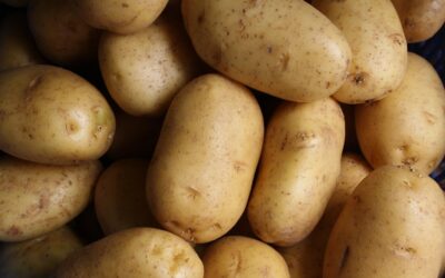 Best Potato Mashers for Smooth Spuds