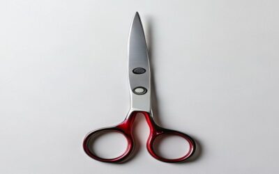 Best Kitchen Shears & Scissors