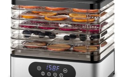 How to Choose a Food Dehydrator for Healthy Snacks