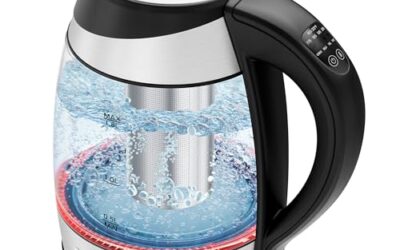 Top-Rated Electric Kettles with Temperature Control