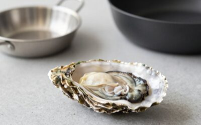 Back to the Roots Organic Oyster vs North Spore Organic Pink Oyster Mushroom: Which Should You Buy?