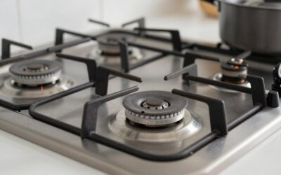 Best Double Induction Burners in 2026: Compared and Ranked