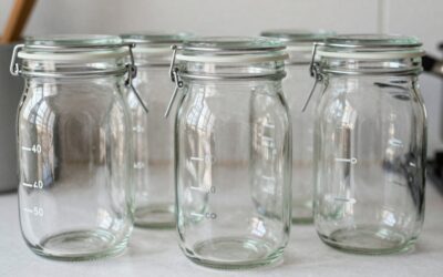 Best Glass Fermentation Weights for Mason Jars in 2026: Compared and Ranked