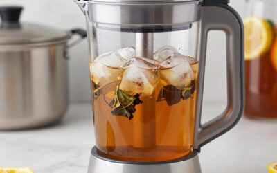 Best Iced Tea Maker for Sweet Tea, Loose Leaf and Fruit Infusions