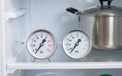 Best Refrigerator Thermometers in 2026: Compared and Ranked