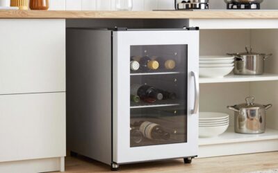 Best Small Wine Refrigerators for Compact Spaces