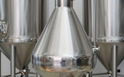 Best Stainless Steel Conical Fermenters for Home Brewers in 2026: Compared and Ranked