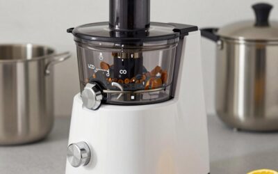 Cold Press Juicer Machines vs Ninja NeverClog Cold Press Juicer: Which Should You Buy?