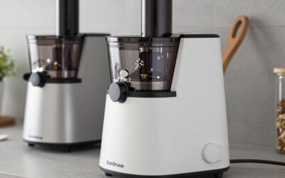 EanOruus Juicer Machines vs Cold Press Juicer: Which Should You Buy?