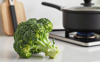 Nature Jim s Sprout Organic Broccoli vs Seedboy Organic Non-GMO Microgreens and Sprouting: Which Should You Buy?