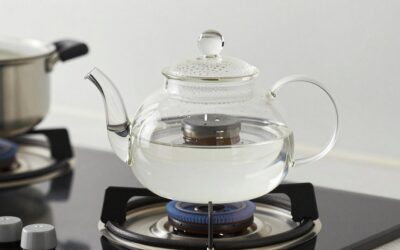 PARACITY Glass Teapot Stovetop 18 6 vs HIWARE 1000ml Glass Teapot: Which Should You Buy?