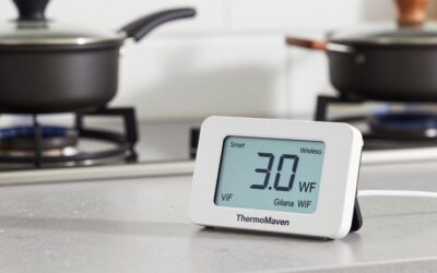 ThermoMaven Smart WiFi Wireless Meat Thermometer vs Smart Wireless Meat Thermometer: Which Should You Buy?